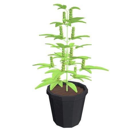 26-plant